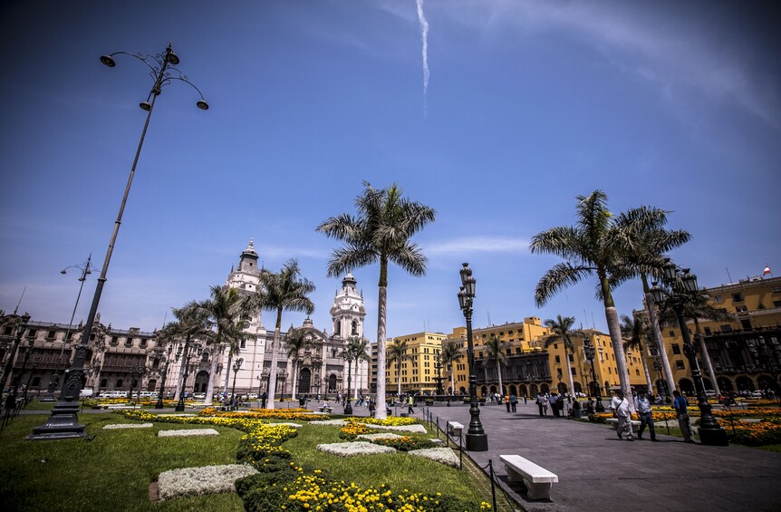 Full-day: Lima city tour,San Francisco church & Larco Museum