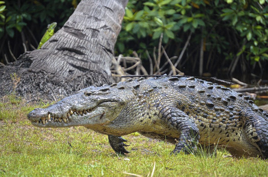 Oaxaca Coast Eco Tour 