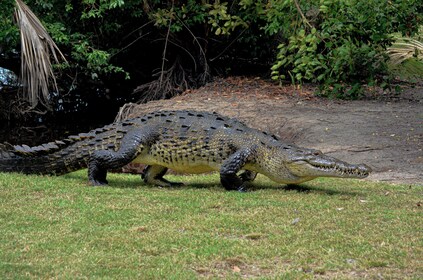 Oaxaca Coast Eco Tour with Hotel Transportation