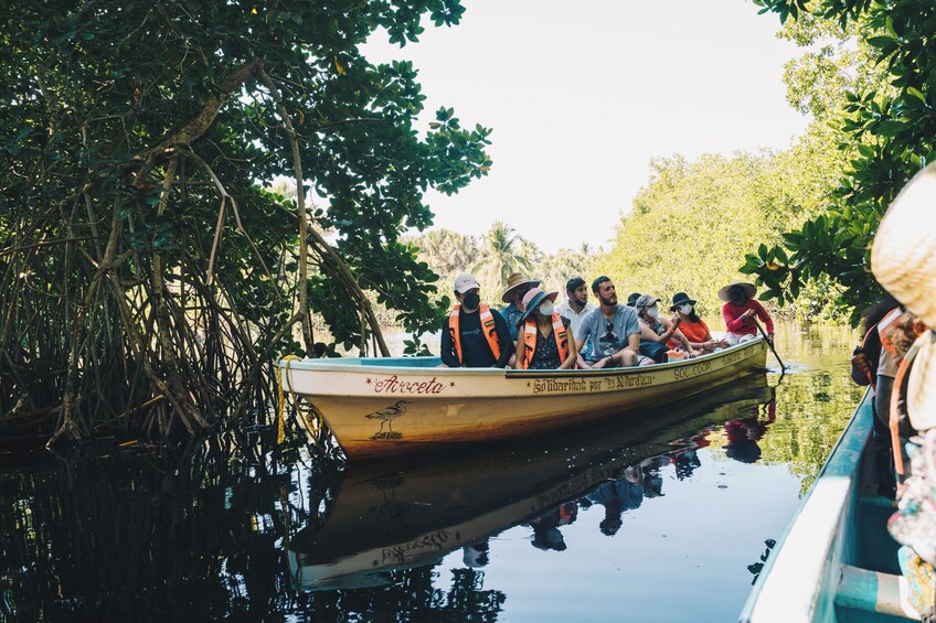 Oaxaca Coast Eco Tour with Hotel Transportation