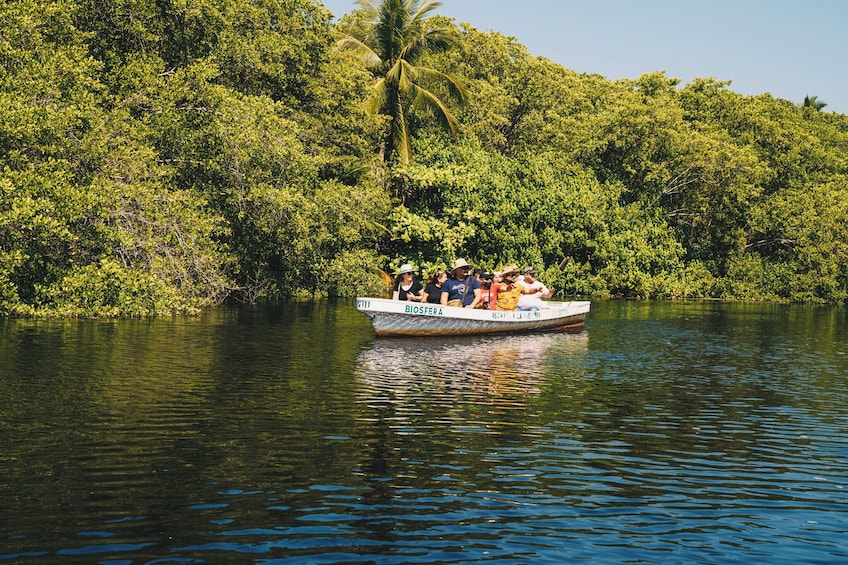 Oaxaca Coast Eco Tour with Hotel Transportation