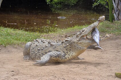 Oaxaca Coast Eco Tour 