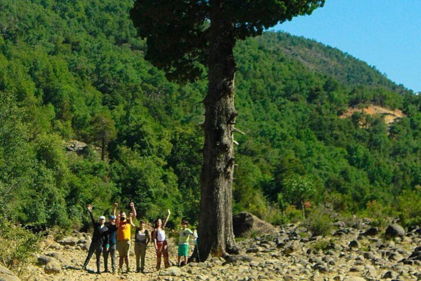 Las Animas Waterfall Tour