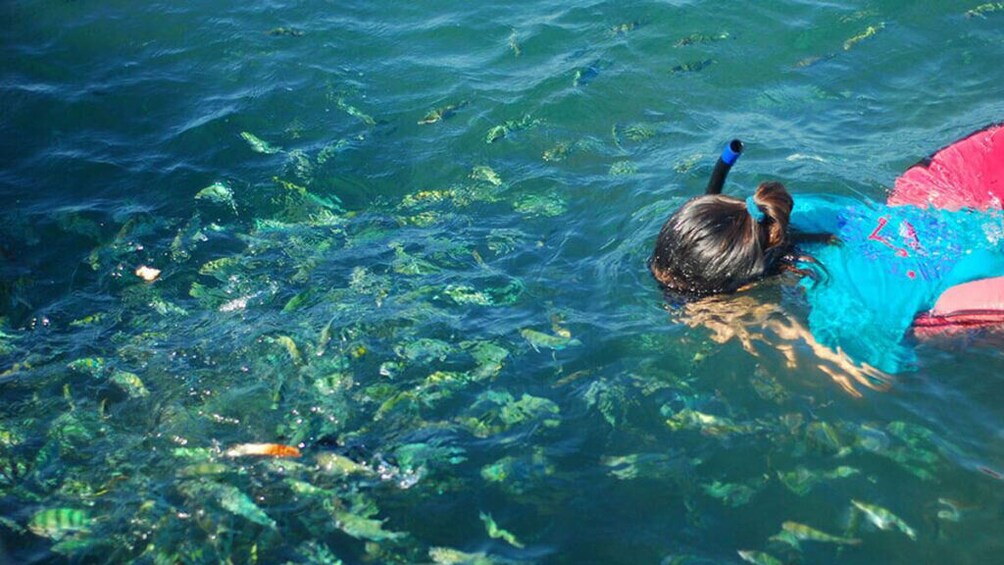 Kayak and Snorkel Trip at Koh Tan & Madsum From Koh Samui
