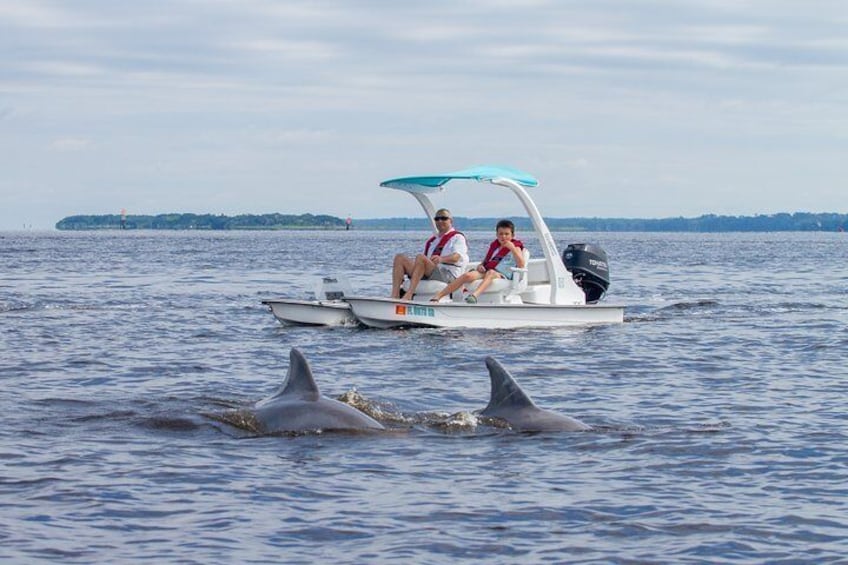 Go Cats on the Water Drive your Own 2 Seat Catamaran Adventure in Marco Island