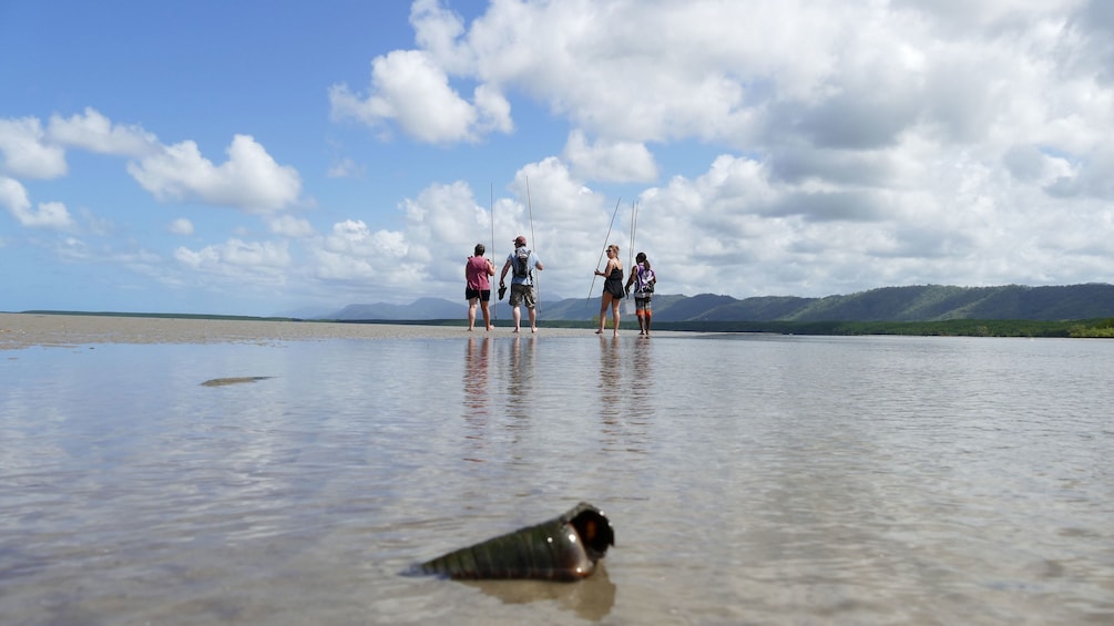 Shell in the foreground of spear fishers in low tide