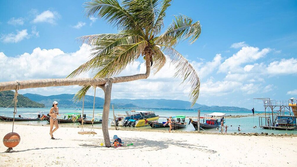 Snorkeling & Sightseeing Trip at Koh Tan From Koh Samui 