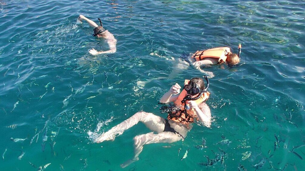 Koh Tan Snorkeling Sunset Tour From Koh Samui