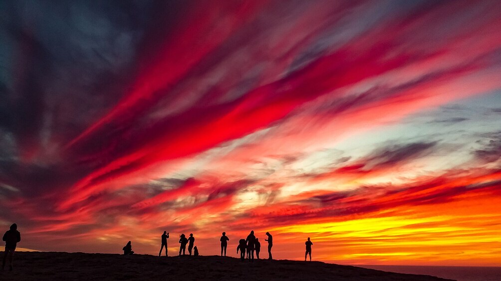 Show item 1 of 5. Sagres Sunset Tour