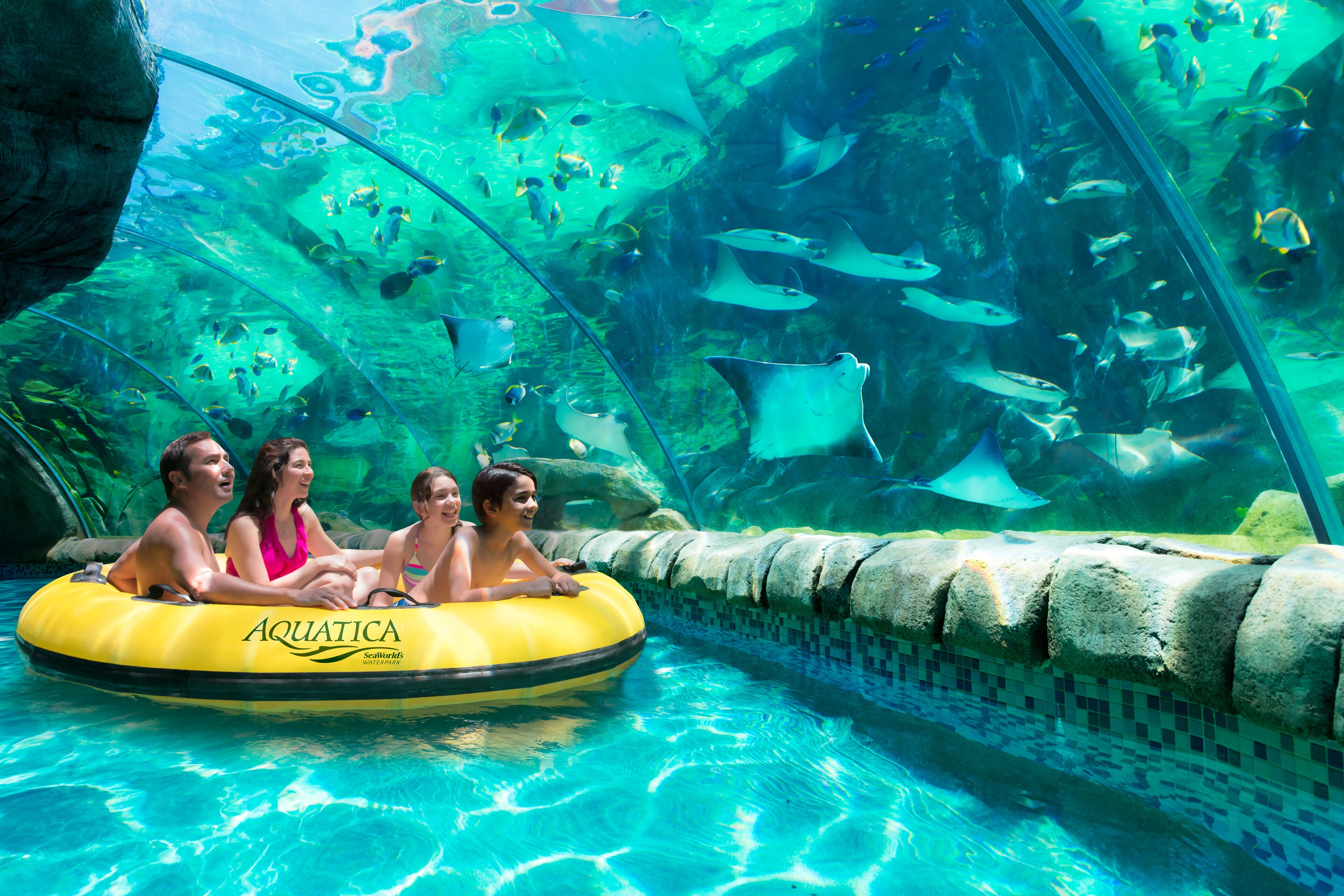 Entradas Al Parque Tem Tico SeaWorld San Antonio   1b9ec608 B74d 4095 90ac 41d0fdaf2299 