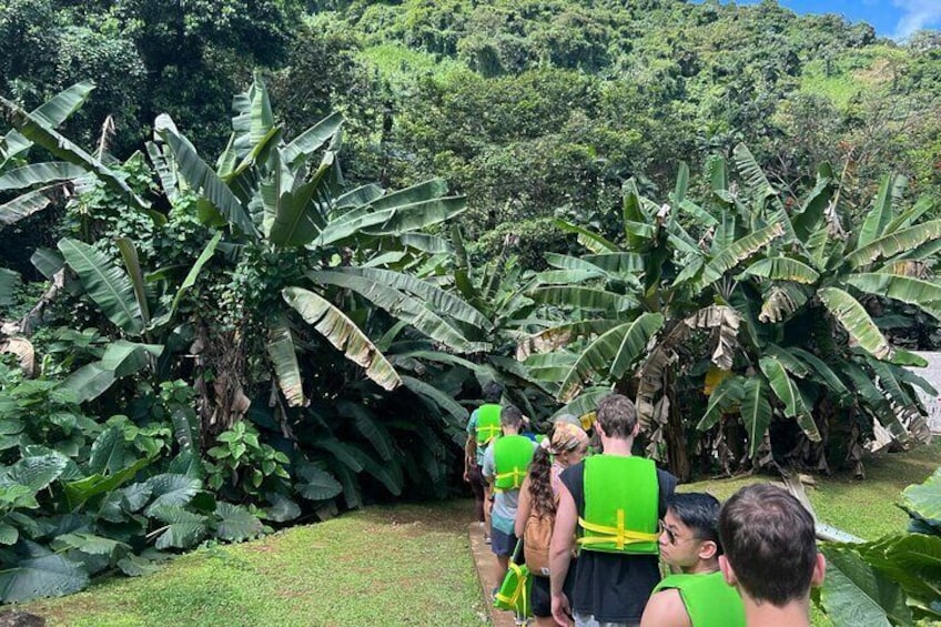 Casual One: El Yunque Rainforest Waterslides Beach Dine and Shop