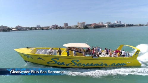 Sea Screamer in Clearwater Beach & Lunch with Transportation