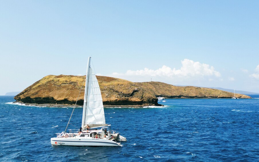 Molokini Snorkel & Performance Sail aboard Akialoa, includes Buffet Lunch