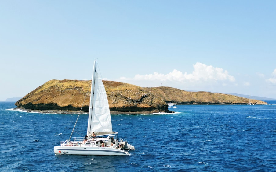 Molokini Snorkel & Performance Sail aboard Akialoa, includes Buffet Lunch