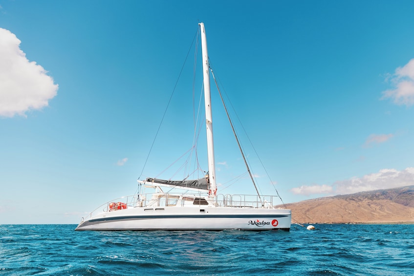 Molokini Snorkel & Performance Sail from Ma'alaea