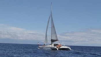 Molokini Snorkel & Performance Sail