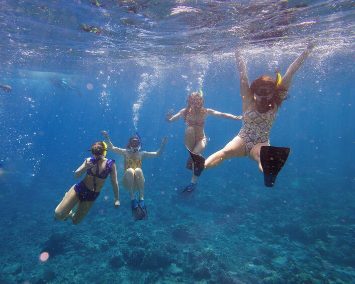 Molokini Snorkel & Performance Sail aboard Akialoa, includes Buffet Lunch