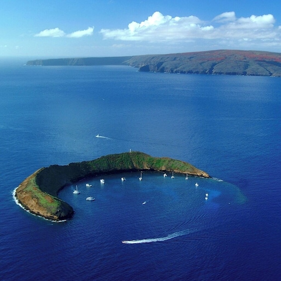 Molokini Snorkel & Performance Sail