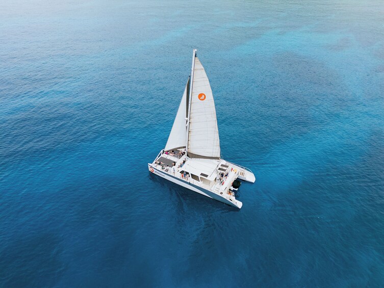 West Maui Snorkel & Sail aboard Alihilani, includes Buffet Bunch & Open Bar