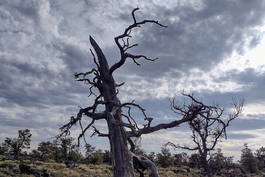 Guided Full-Day Tour to Craters of the Moon National Monument & Preserve