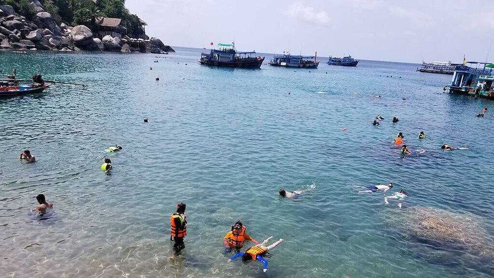 Koh Tao and Koh Nang Yuan Snorkeling Trip From Koh Samui