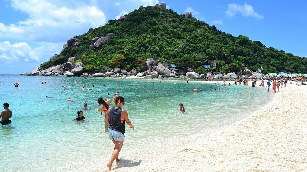 Koh Tao and Koh Nang Yuan Snorkeling Trip From Koh Samui