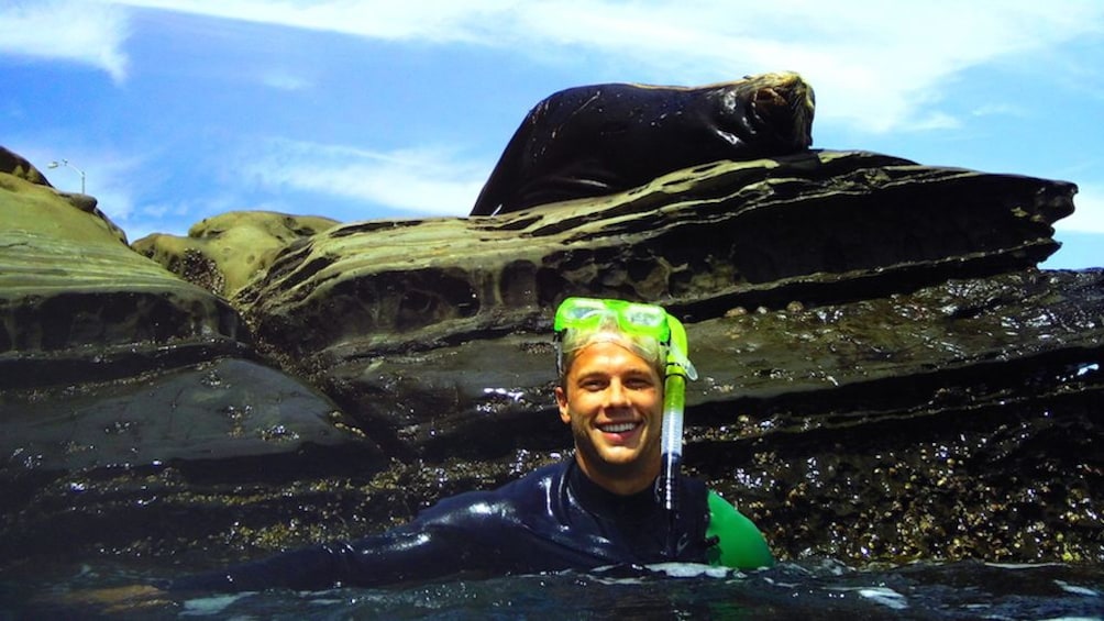 A snorkeler treads water next to a seal on a rock