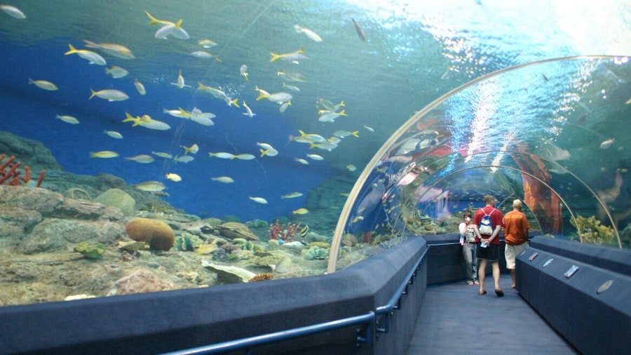Underwater World Pattaya
