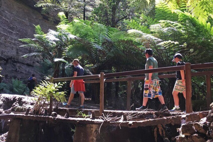 Penrose Gorge on the Glow Worm Tunnel Hike