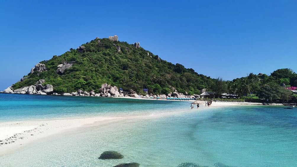 Koh Tao & Koh Nangyuan Premium Trip By From Koh Samui