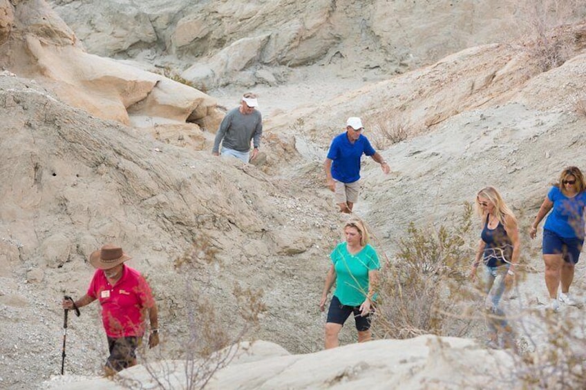 Naturalist guided hikes