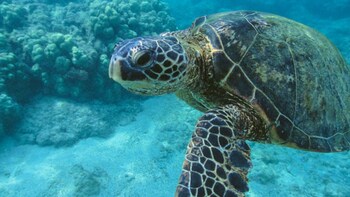 Private Marine Ecology Research Center Half-Day Tour