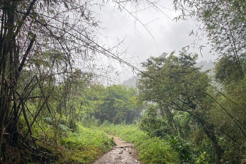 Tinajas Hiking Adventure to El Yunque Rainforest