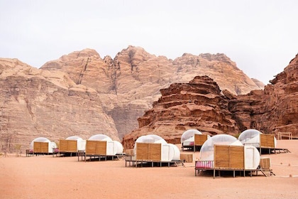  Private Lawrence of Arabia Wadi Rum Overnight Bedouin Experience from Aqab...