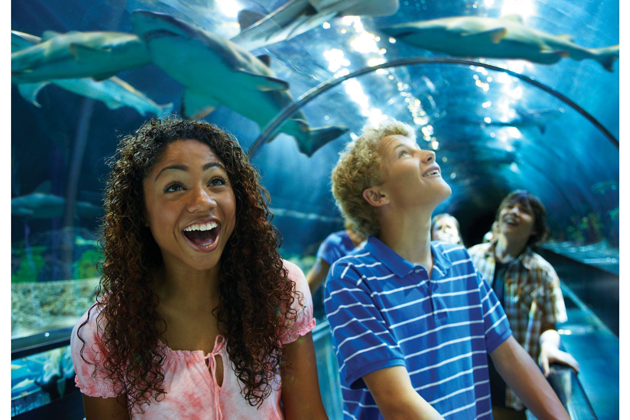 Seaworld San Diego Theme Park Tickets