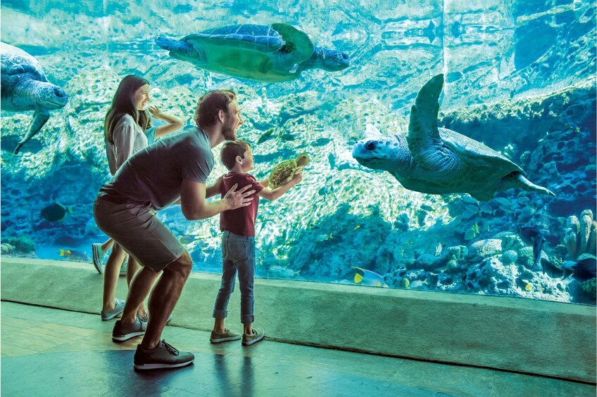SeaWorld San Diego