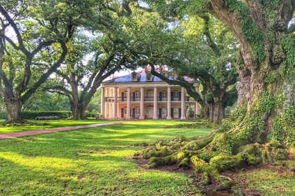 Oak Alley Plantation with Transportation from New Orleans