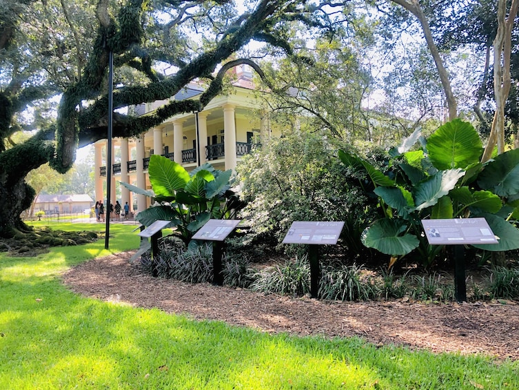 Oak Alley Plantation w/ Transportation from New Orleans