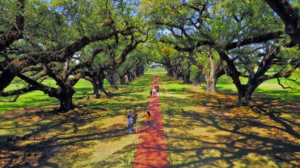 walking path on plantation in new orleans 