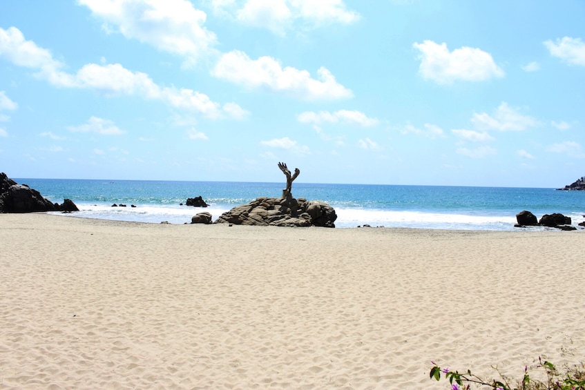 From Huatulco: Enjoy Puerto Escondido