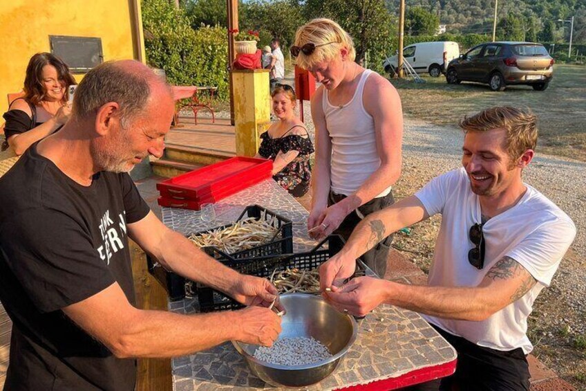 Aperitif / Tasting in a Vineyard of Lucca with transfer