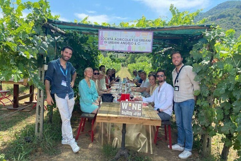 Aperitif / Tasting in a Vineyard of Lucca with transfer