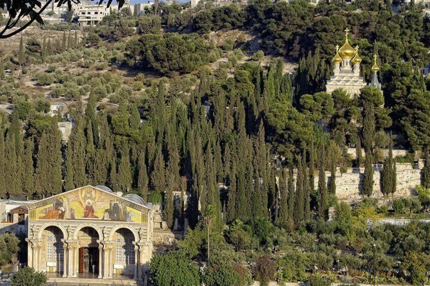 1-Night Private Jerusalem and Bethlehem Tour from Ammanm