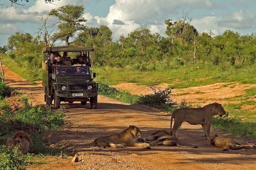2-Day Kruger National Park Safari with Private Transfers