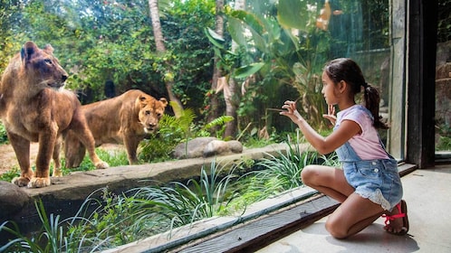 Entrada al zoo de Bali