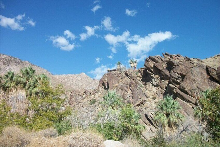 Indian Canyons Walking Tour by Jeep from Palm Desert