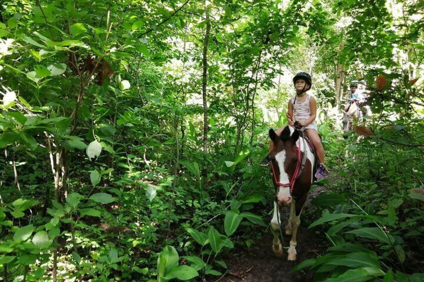 Jungle and Mountain Adventure