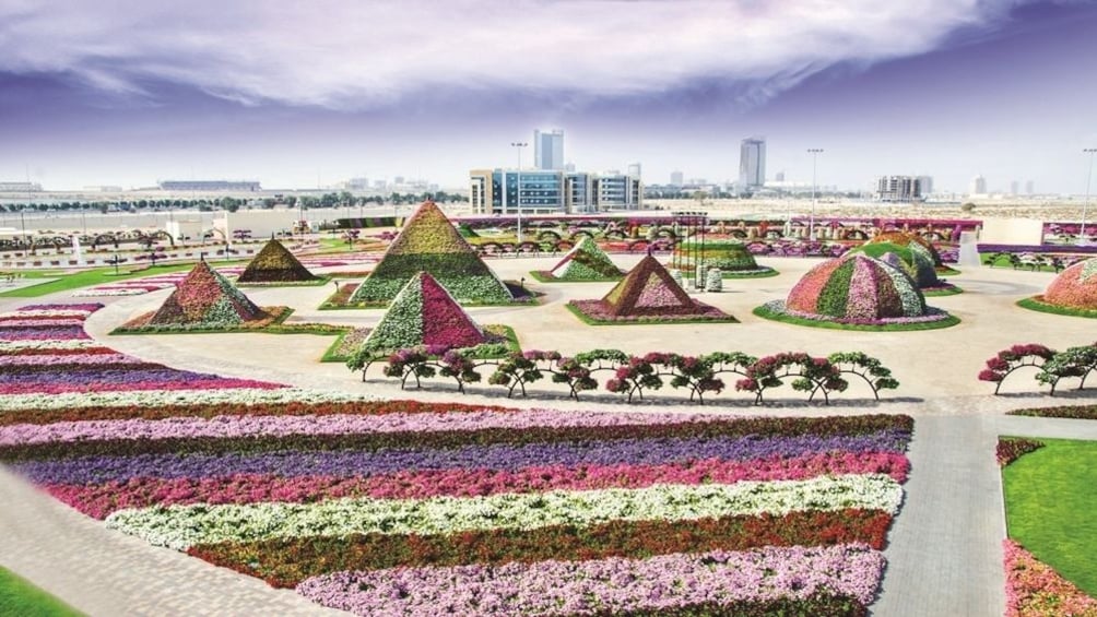 Show item 2 of 8. Flora & Fauna tour from Dubai with Gray Line