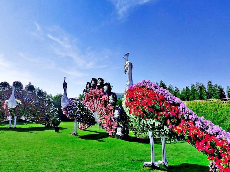 Miracle Garden: Flora & Fauna tour from Dubai with Gray Line