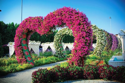 Miracle Garden: Fauna Tour from Dubai with Gray Line: Flora & Fauna Tour fr...